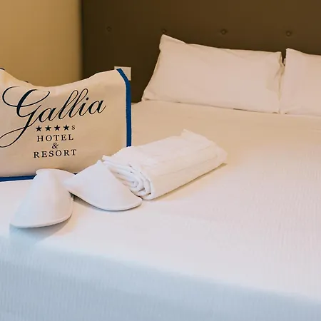 Hotel Gallia&resort